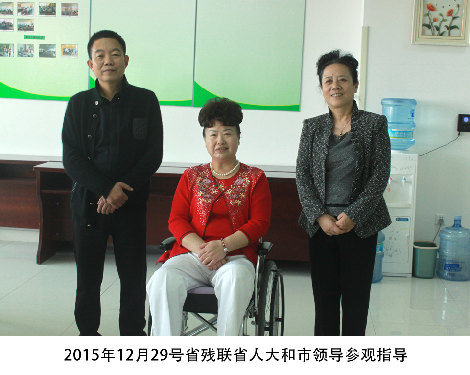 The leaders of the Provincial People's Congress, Congress of the Provincial Disabled Persons' Federation and Municipal Changzhou visited Zhongjin Medical on December 29, 2015.